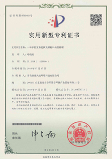 Patent Certificate 4