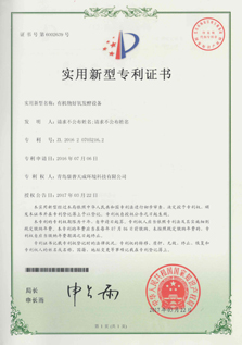 Patent Certificate 10