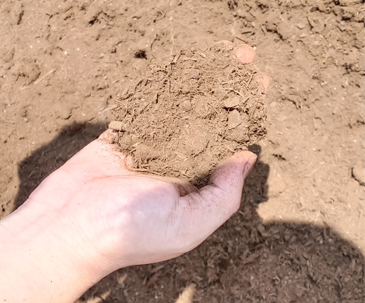 Organic fertilizer 