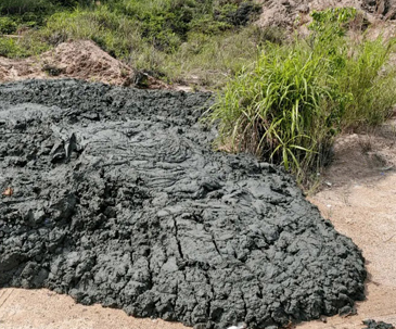 Sludge