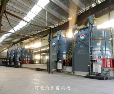 Botou, Hebei TC-101A